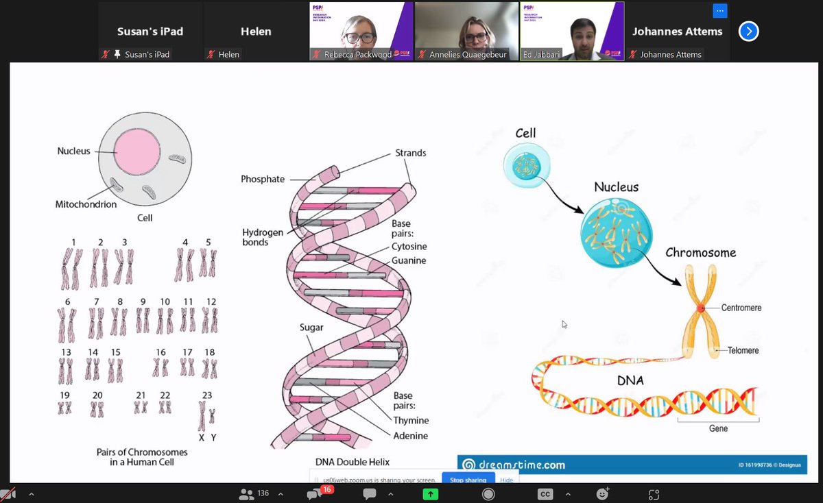 PSPAssociation's tweet photo. Next up is @Ed_Jabbari who will tell us about the role genetics play in PSP & CBD.
In particular, Ed will be shedding a light on whether PSP is genetic.
#PSPResearch https://t.co/PckewsudIP
