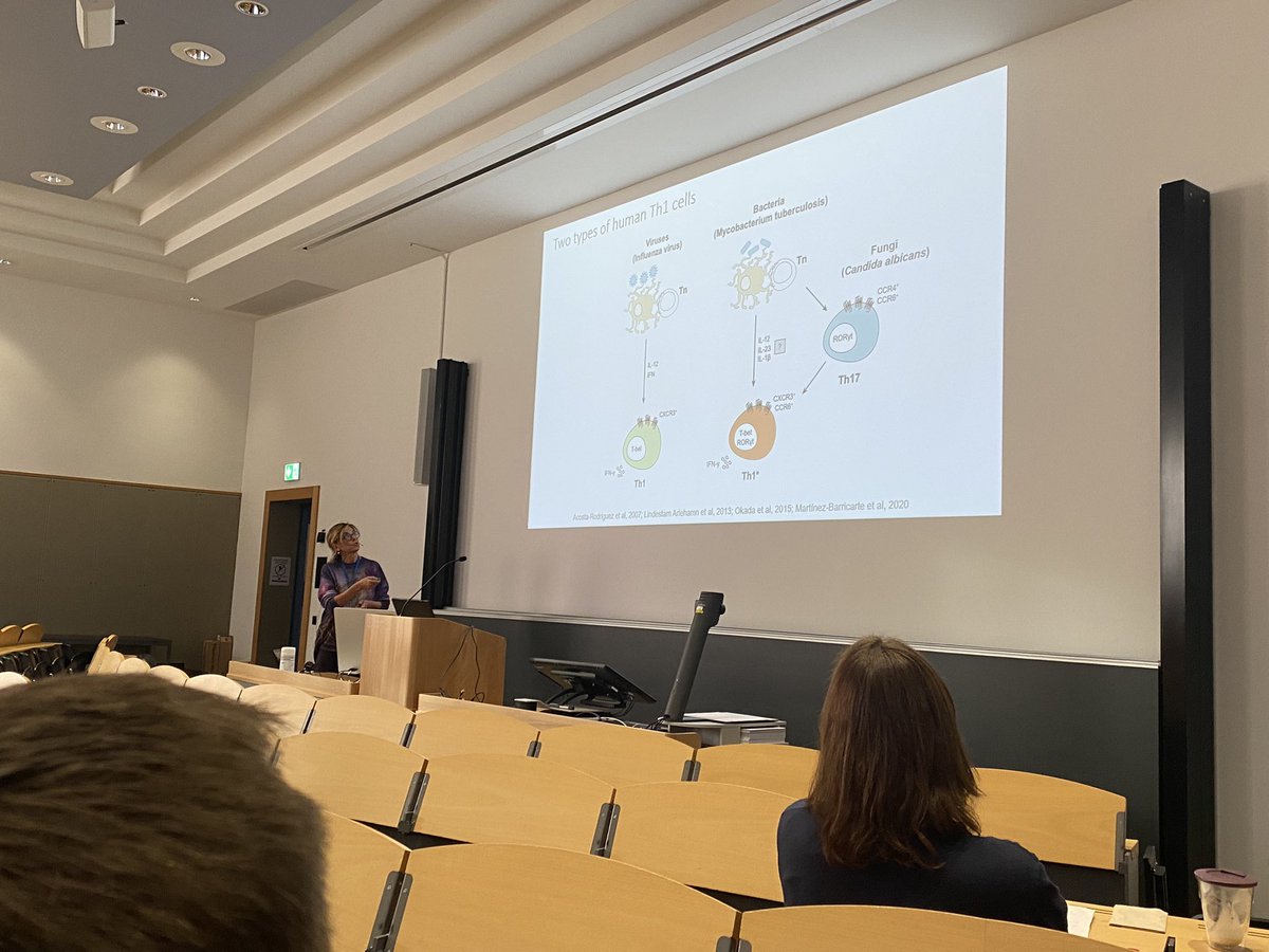 SwissCytometry's tweet photo. 3rd and last day starts with a great talk from Frederica Salusto on T lymphocyte differentiation in patients with inborn errors #SCM2023 https://t.co/oPWBM4QnCX