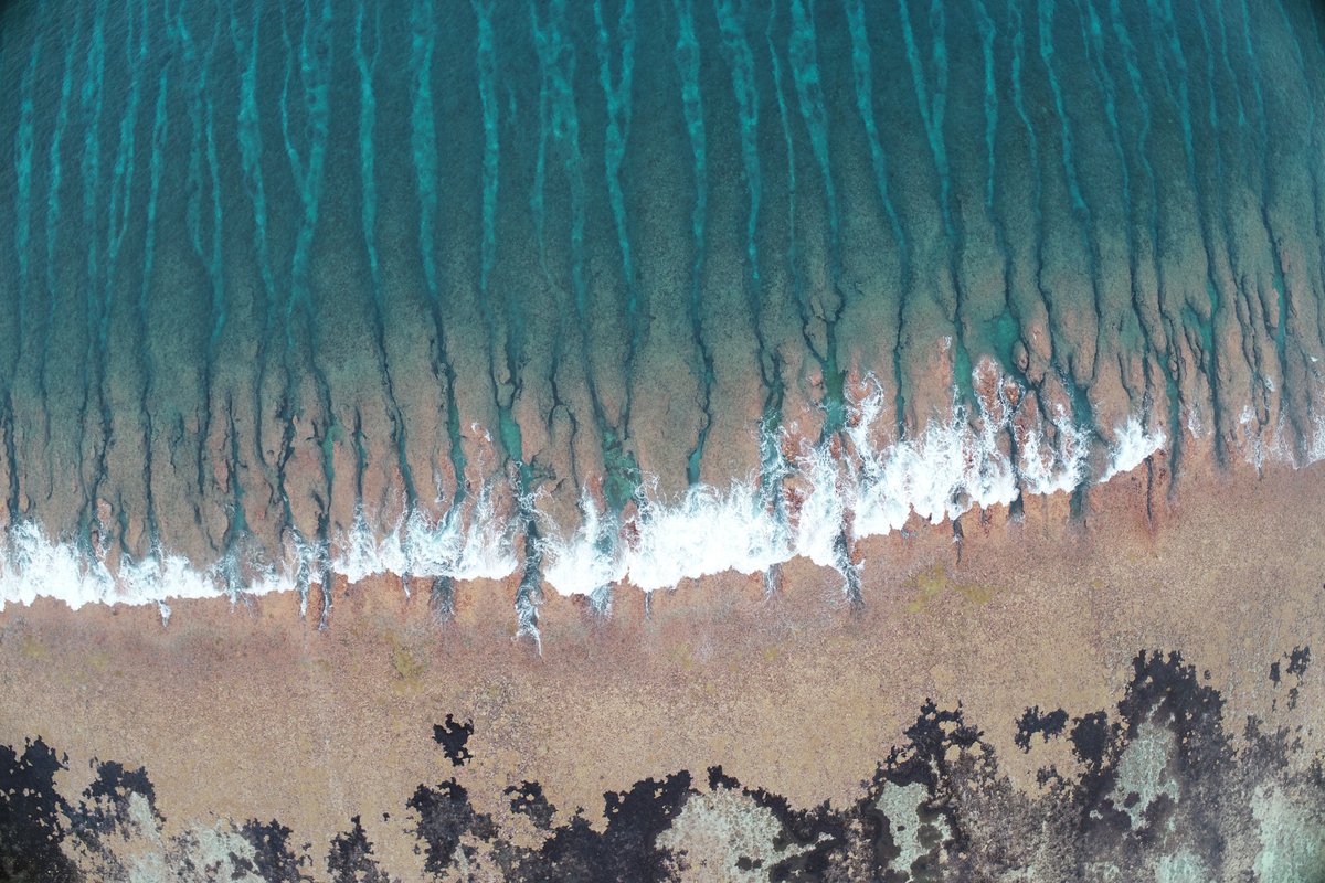 Gerd Masselink (@gmasselink) on Twitter photo We are looking for an outstanding post-doc to complement the #ARISE team, investigating the impact of sea-level rise on atoll islands: hrservices.plymouth.ac.uk/tlive_webrecru…. Position starts 1 October 2023. <a href="/UoP_CPRG/">Coastal Processes Research Group</a> <a href="/UoP_CMAR/">Coastal Marine Applied Research</a> We are looking for an outstanding post-doc to complement the #ARISE team, investigating the impact of sea-level rise on atoll islands: hrservices.plymouth.ac.uk/tlive_webrecru…. Position starts 1 October 2023. <a href="/UoP_CPRG/">Coastal Processes Research Group</a> <a href="/UoP_CMAR/">Coastal Marine Applied Research</a>
