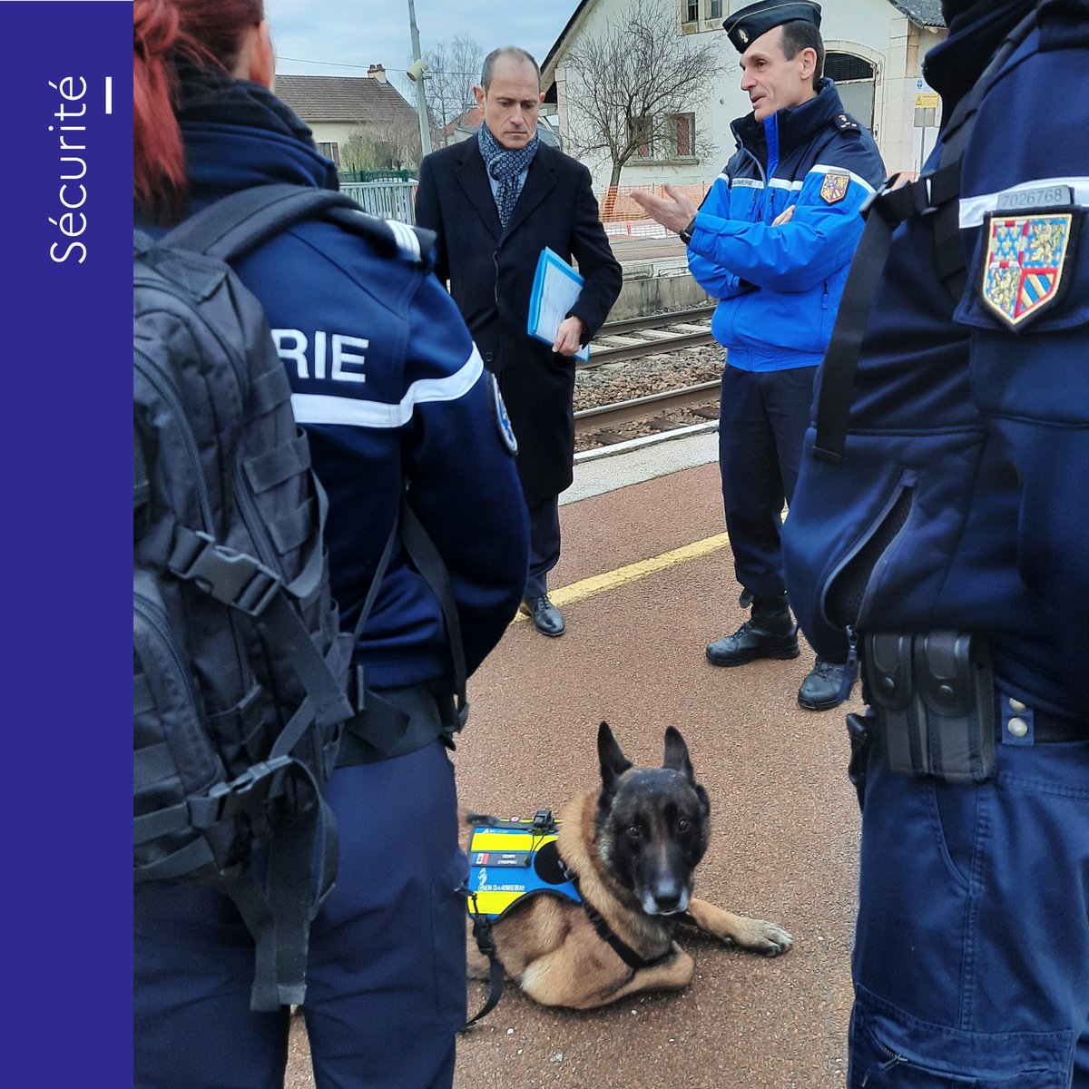 Préfet Bourgogne-Franche-Comté, Préfet Côte-d'Or tweet media