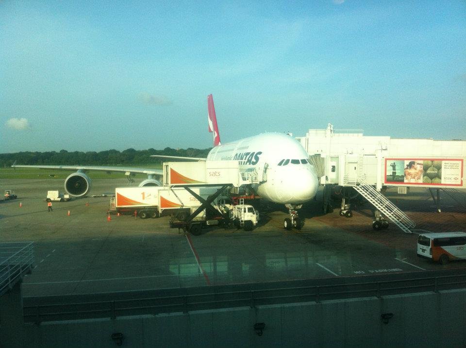 _Travelwithdan's tweet photo. Happy #wingfriday to you all! Today's wing is from VH-OQB, a @qantas A380 on stand in Singapore after my first-ever long-haul A380 flight back in 2012 #avgeek #aviationdaily #a380 #singapore #avgeekworld #aviationlovers #aviationdaily https://t.co/RQ4lY9jl93