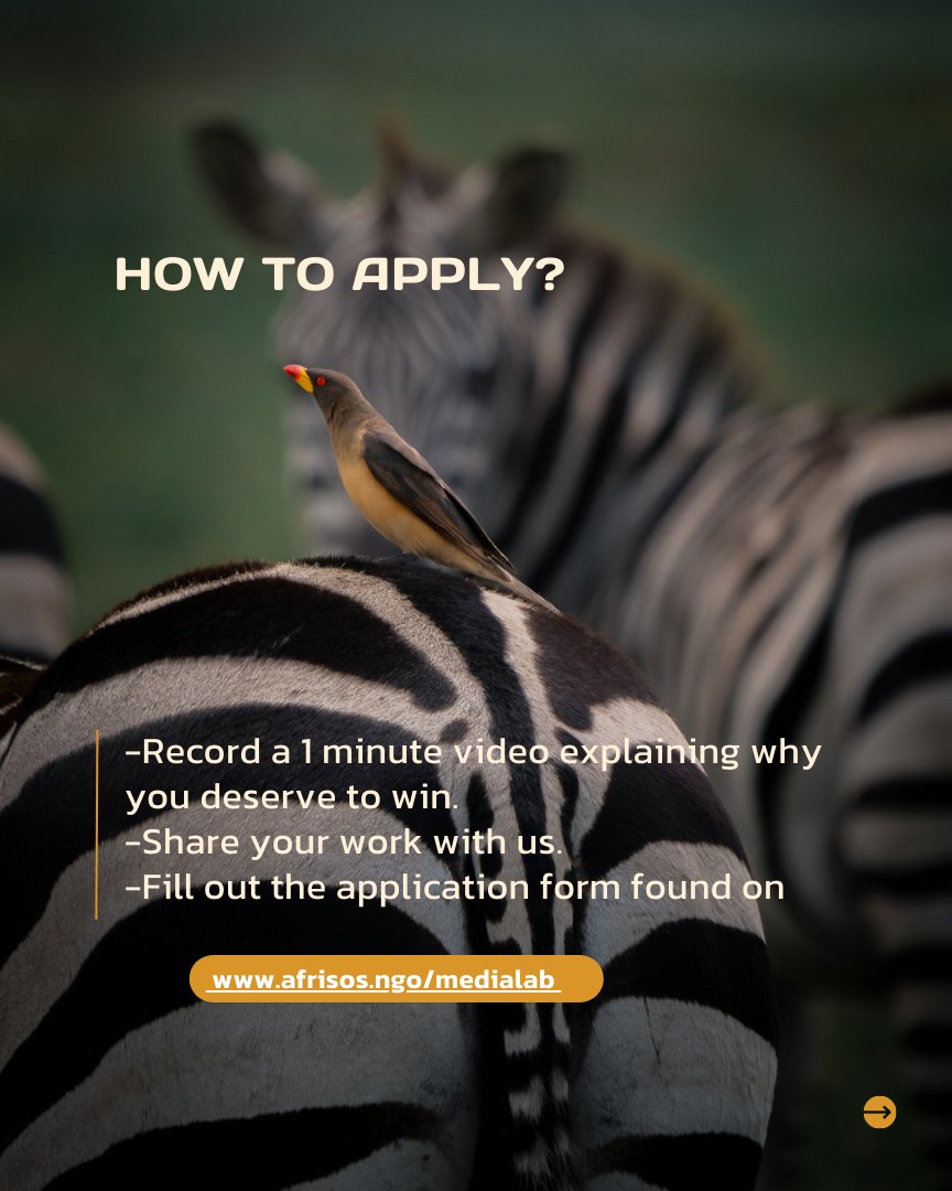 AfrisosNGO's tweet photo. Follow the following steps for you to stand a chance among the selected 10 East African Conservation Storytellers.

Good luck to you dear reader &amp; passionate Conservation Storytellers!💪🏾 
#conservation #afrisos #grumetifund #medialab #opportunitiestorafricans #storytelling https://t.co/Eh7vuGXORK