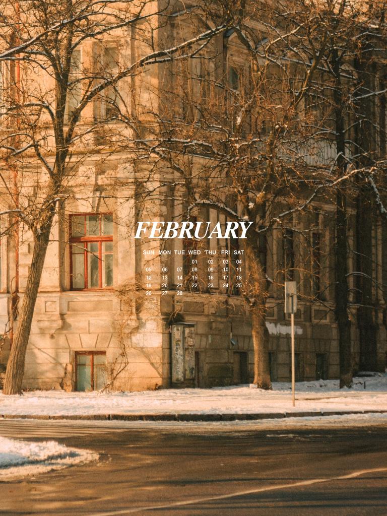 aime_wise's tweet photo. Hello,February !🤎 https://t.co/Bx3ZeUtRxV