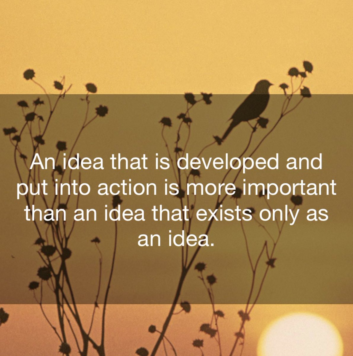 An idea in development is…