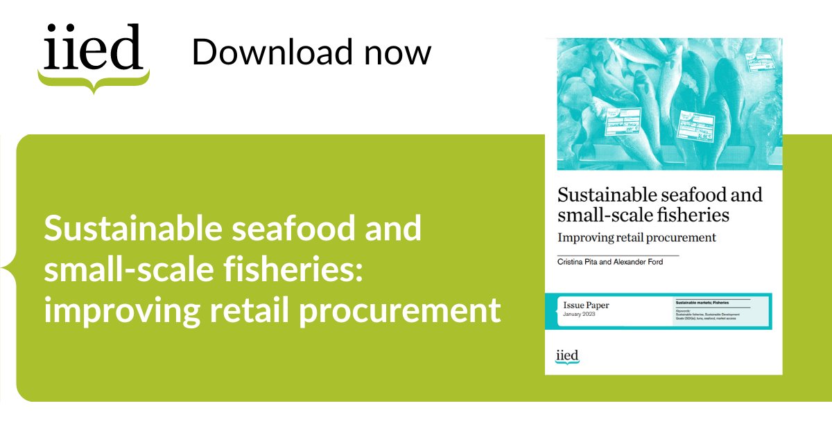 IIED's tweet photo. NEW RESEARCH: Through seafood sourcing policies that explicitly commit to supporting small-scale fishers, retailers can make positive contributions to:
☑ Healthier oceans 
☑ Sustainable #fisheries 
☑ Wellbeing of coastal communities

Find out more. --> https://t.co/rTRpAVdv20 https://t.co/KvUMgJnqYP