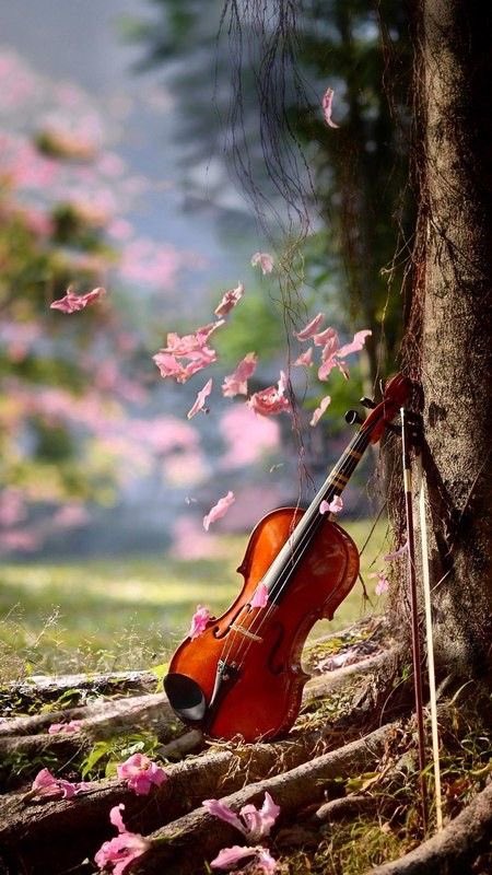 Changes that you make for yourself, the path you have chosen, decisions you have made is all yours.
Never allow anyone to step in the way of your changes or choices.
Take those necessary steps with no need to explain yourself cuz it’s no one’s business.

My thoughts for today ♥️