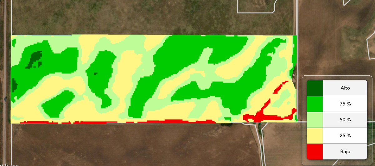 Ivan Fuhr tweet media