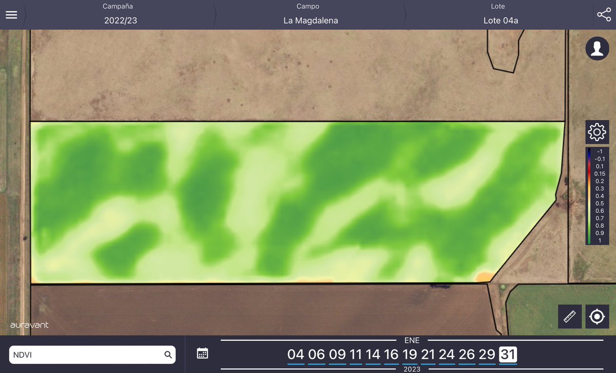 Ivan Fuhr tweet media