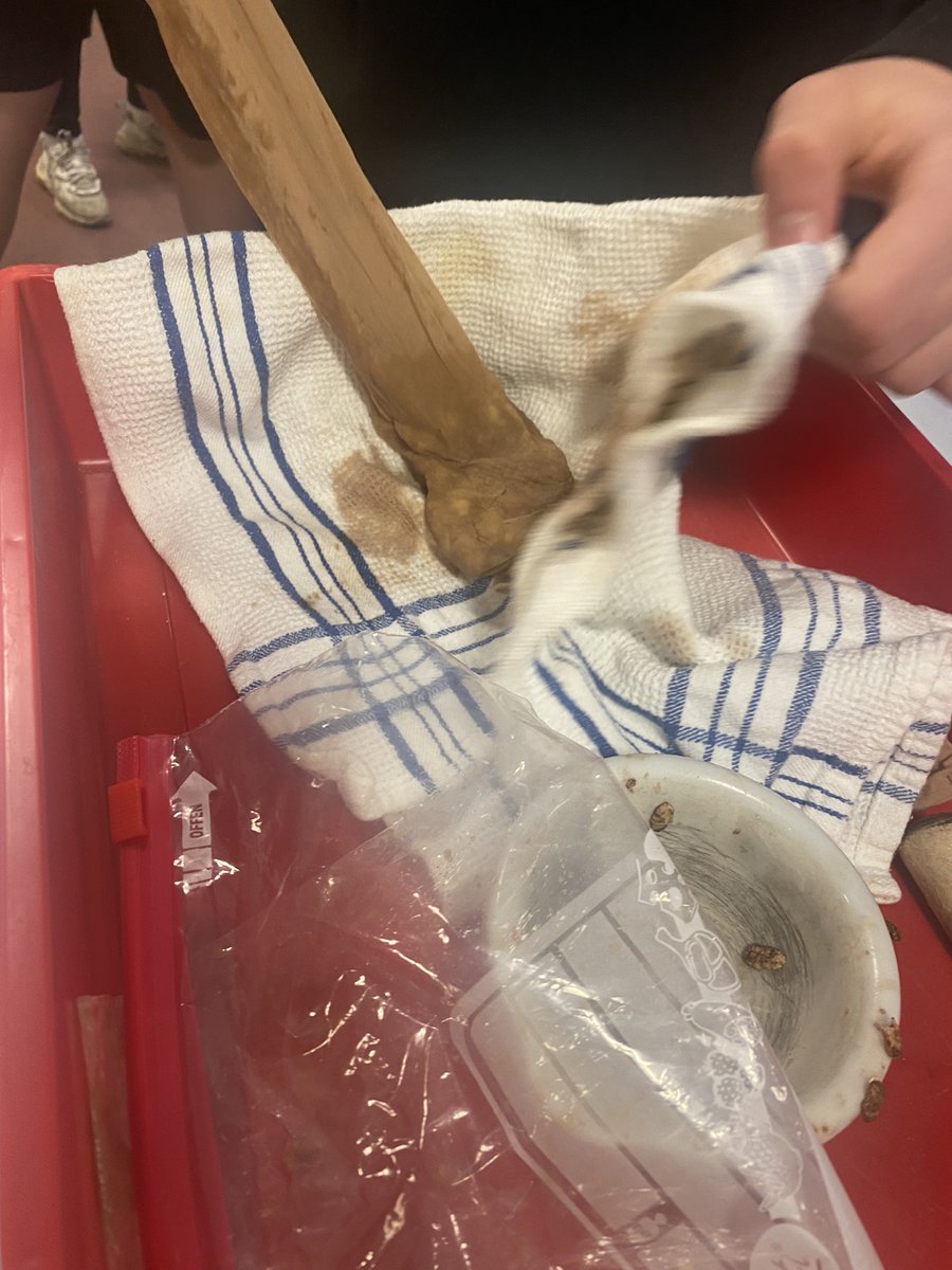 Forrester Science tweet media