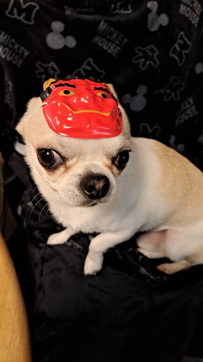 chikkun0522's tweet photo. 今日は節分！
我が家にも鬼が？！👹

いやいや、この鬼は可愛すぎて内に入れてしまいます^_^ https://t.co/wCCtSIoaQt