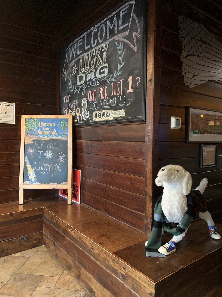 Angelspaws's tweet photo. Thank you to @luckydoggrille for their holiday Wish Tree donations to support our mission! #pethospice #angelspaws #cincinnati https://t.co/sxQxVS5F2y