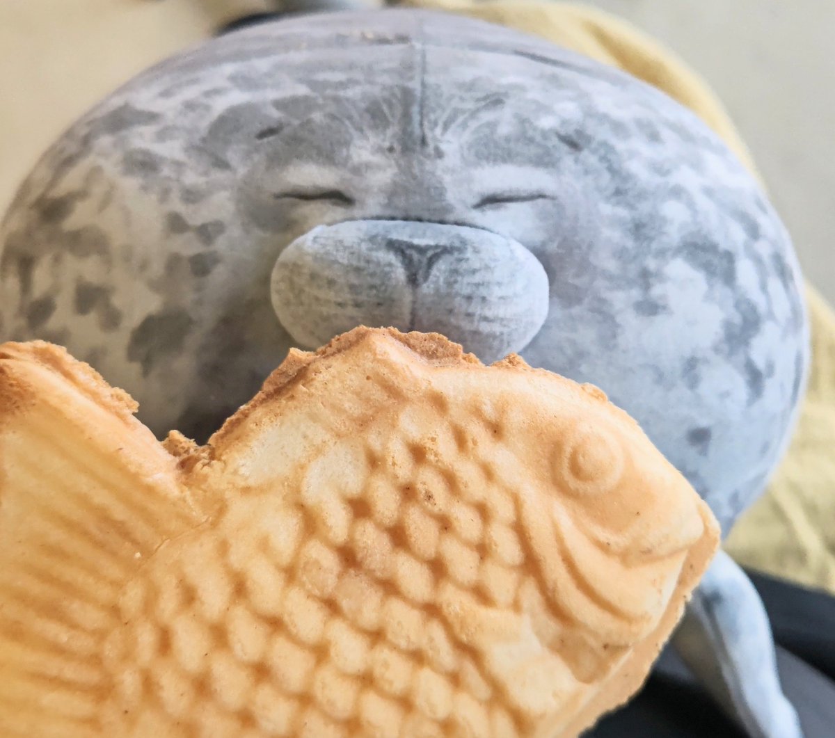 lassie99289125's tweet photo. おひるごはん🎶
#ぬい撮り
#ぬいぐるみ
#アザラシ
#海遊館
#seal
#plush
#plushe https://t.co/RLV5kkaE7y