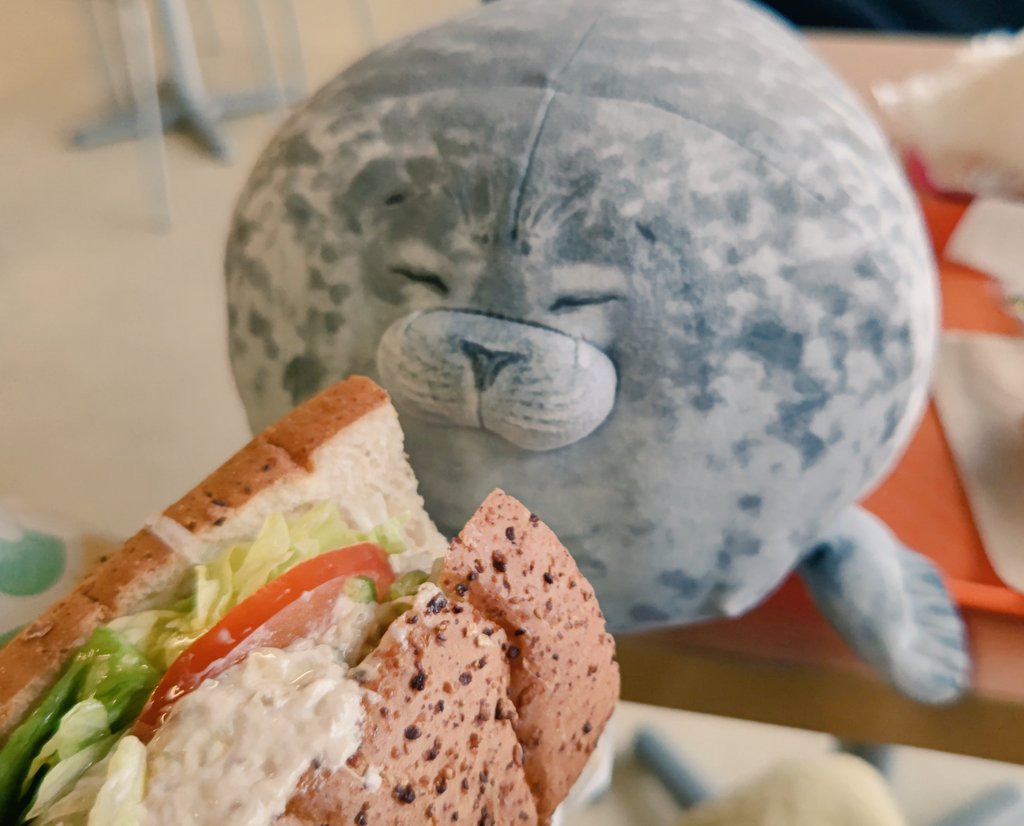 lassie99289125's tweet photo. おひるごはん🎶
#ぬい撮り
#ぬいぐるみ
#アザラシ
#海遊館
#seal
#plush
#plushe https://t.co/RLV5kkaE7y