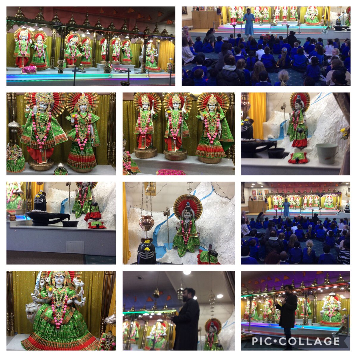 Foxfield Year 1 Pine tweet media