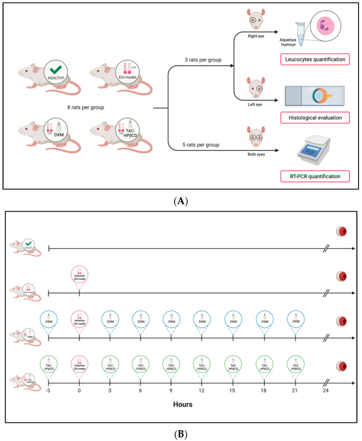 📑 🆕 ¿Conocéis el efecto antiinflamatorio de las gotas oftálmicas 👁 de tacrolimus/hidroxipropil-β-ciclodextrina? Os lo contamos con este modelo preclínico 🐁 de uveítis inducida por endotoxinas:  

pubmed.ncbi.nlm.nih.gov/34684030/ 

#ScienceFarmaChusLab🧪