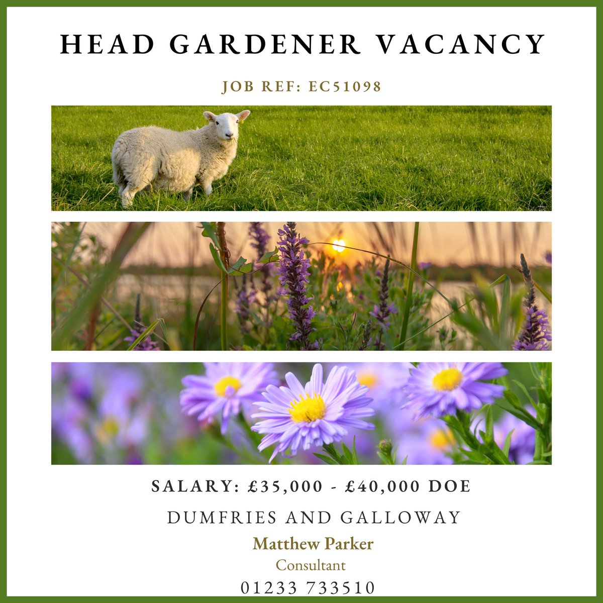 An exciting Head Gardener role has become available to take responsibility for a historically renowned landscape set within a diversified rural estate in southwest Scotland. 

EC51098. To view the full job advert, visit: englishcountrygardeners.co.uk/job/gardening-…

#headgardener #jobsinscotland