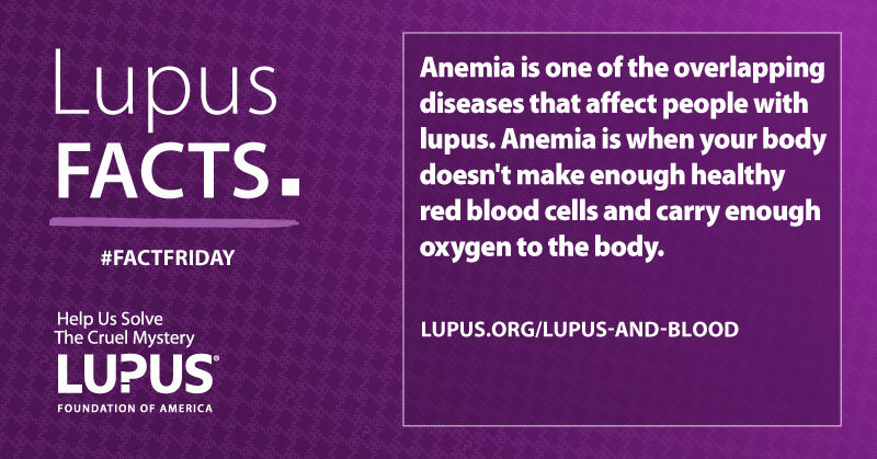 LupusOrg's tweet image. Lupus and #lupus treatments can cause several problems with the blood and blood vessels -- including anemia, which is not having enough red blood cells to carry oxygen through the body.

Learn more about lupus and the blood: bit.ly/3RvbuuO