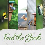 Photo by Wild Birds Unlimited Guelph (@wbuguelph)