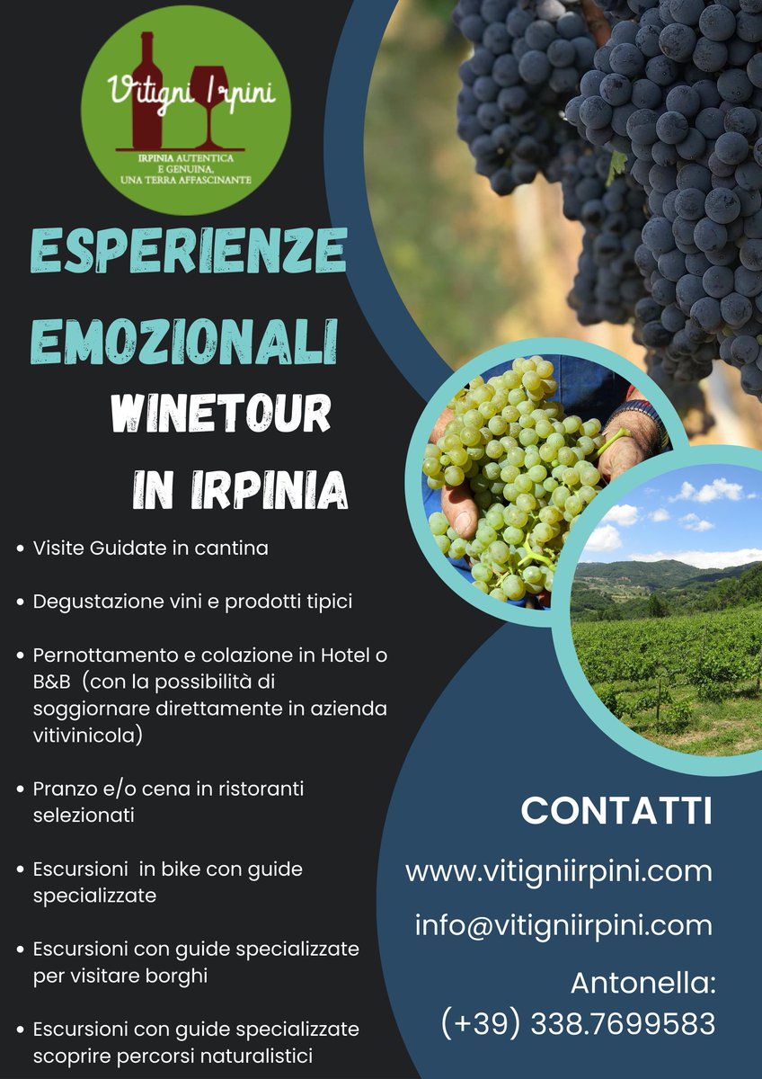 Hai mai pensato di venire in Irpinia, per scoprire un territorio autentico e genuino, conoscere i produttori, visitare le cantine e degustare i vini D.O.C.G. più importanti della Regione Campania e del Sud Italia: Taurasi, Fiano di Avellino, Greco di Tufo

vitigniirpini.com