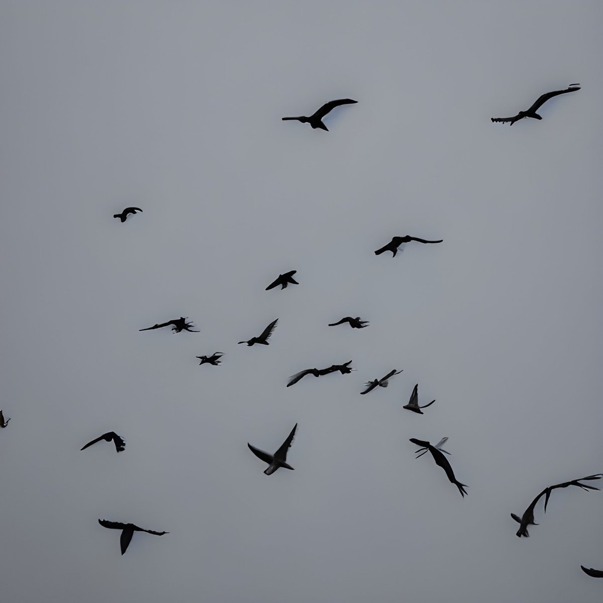 engleezy tweet media