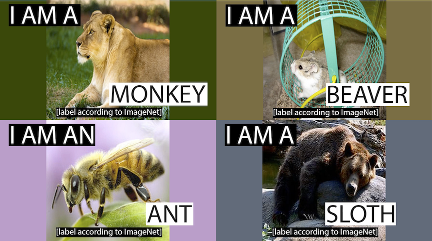 How Many Images In Imagenet How Many Images In Imagenet