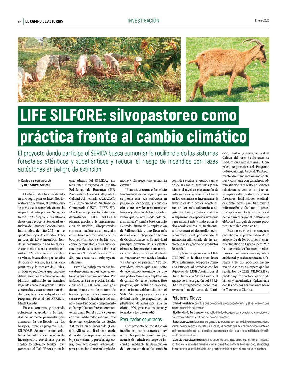 En el último número de  El  <a href="/CampodeAsturias/">El Campo de Asturias</a> te contamos en qué consiste el proyecto de investigación #SILFORE 👉 que coordina <a href="/neiker_BRTA/">NEIKER</a>  y en el que participan varias áreas del #SERIDA
👉🏻bit.ly/3wRq328
💰 <a href="/LIFEprogramme/">LIFE Programme</a>  @EPSLugo <a href="/esa_ipb/">ESA Bragança</a>