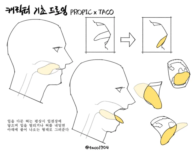 입을 다문 혀는 평상시 입천장에 닿지만 입을 벌리거나 혀를 내밀면 아래에 붙어 나오는 흐름으로 그려준다 