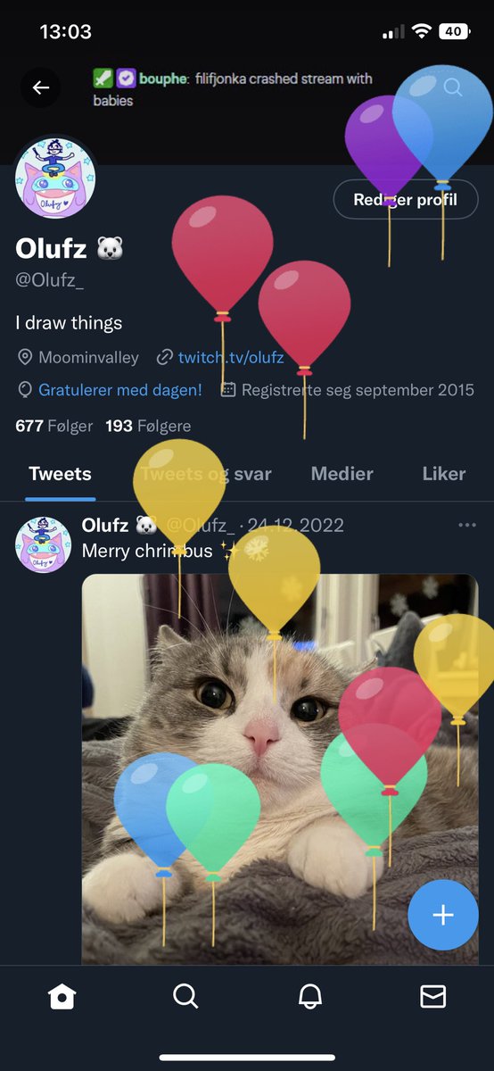 Olufz 🐻‍❄️ tweet media