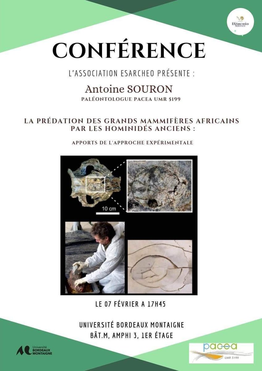 Bonjour à toutes et à tous ! 

Mardi 7 Février, nous vous invitons à une conférence d'archéozoologie sur la prédation des mammifères en Afrique, qui sera présentée par Mr. Antoine Souron. Elle aura lieue en Amphi 3 à 17h45.

En espérant vous voir nombreuses et nombreux !