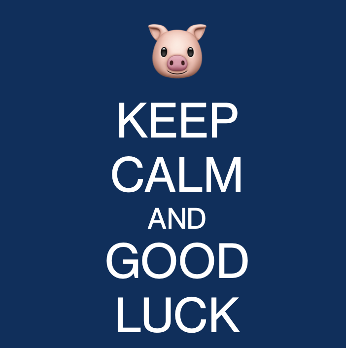 WINF_TUD's tweet photo. February means time for exams @tudresden_de. We wish all students good luck and good learning success in the exams. You can do it! 🍀🐖🤞 https://t.co/0ff5YkcQLl