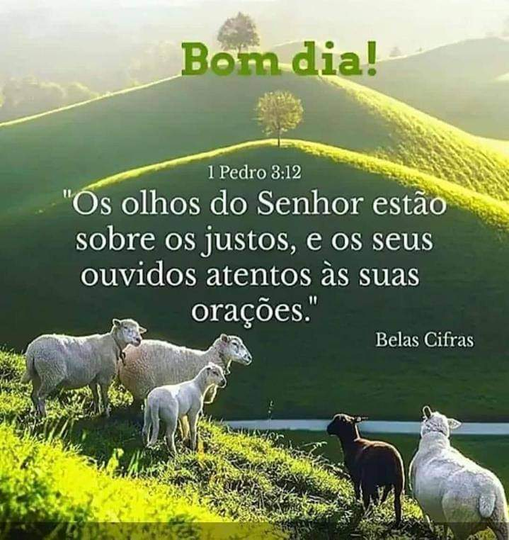 CardosoBianchi's tweet photo. Bom dia...feliz sexta-feira. https://t.co/mx8PlQFPgZ