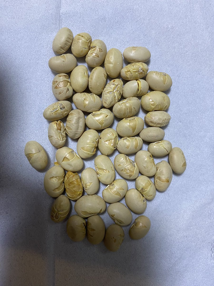 piececase's tweet image. 30〜40位で折り返し地点があっても良いような気がする。