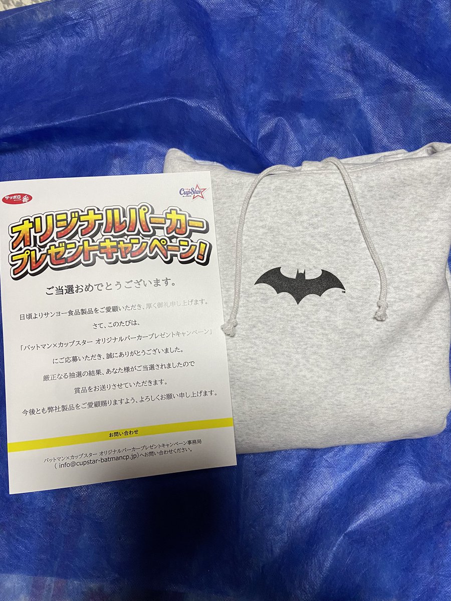 日本未発売】 サンヨー食品 カップスター オリジナルパーカー