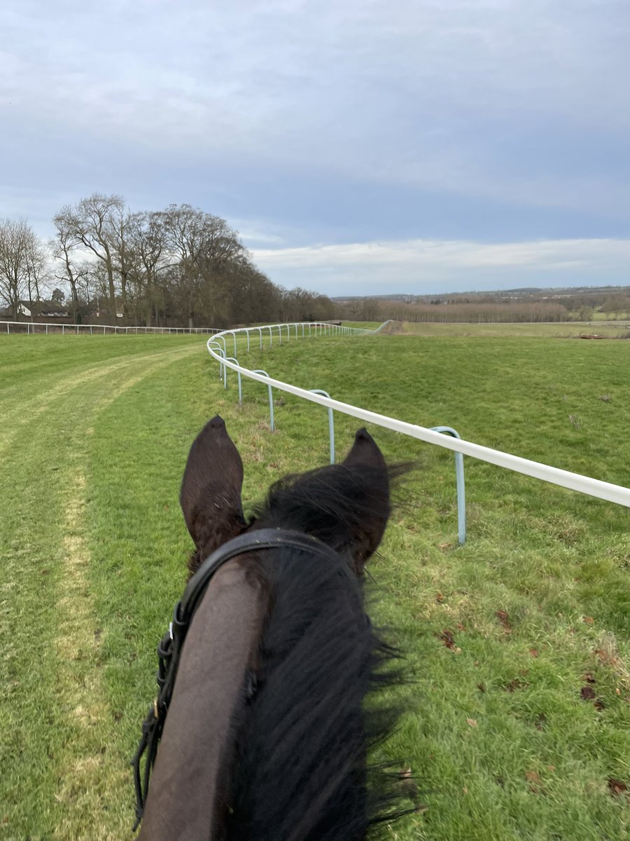 Billy Aprahamian Racing tweet media