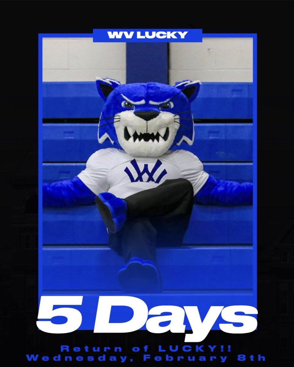 He’s back and better than ever! We invite you to the boys game, February 8th, to meet Lucky! Go Cats!