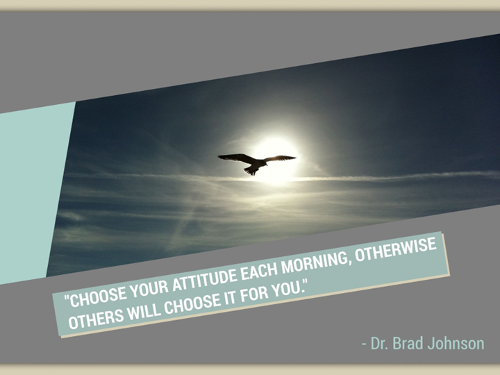 Happy Friday!   Choose your attitude each morning, otherwise others will choose it for you!