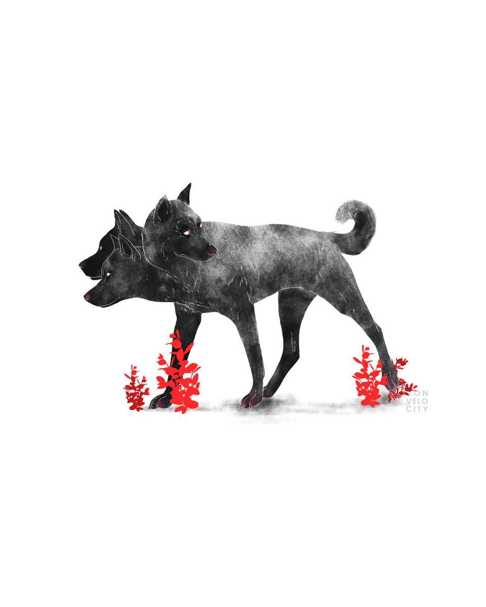 convelocity's tweet photo. Good boi³ https://t.co/Wcq7Txt3pG