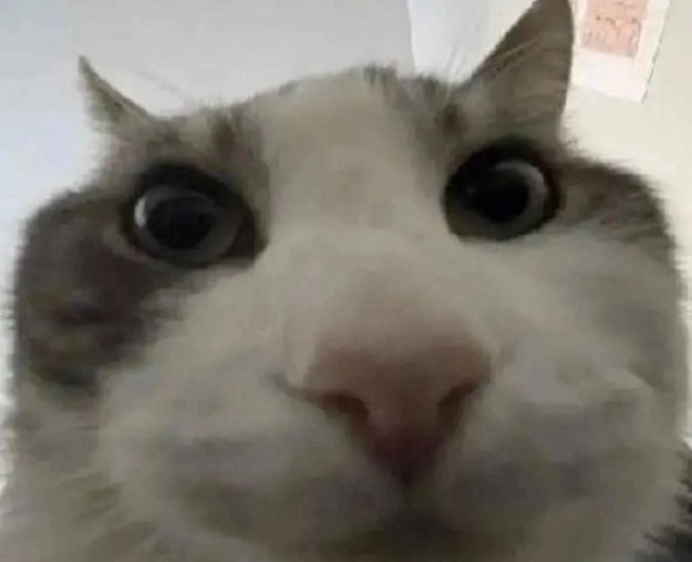 ︎︎ ︎︎ ︎︎ ︎︎* 𝓞𝒁𝒁𝒀 (@asombrosobuho) on Twitter photo 