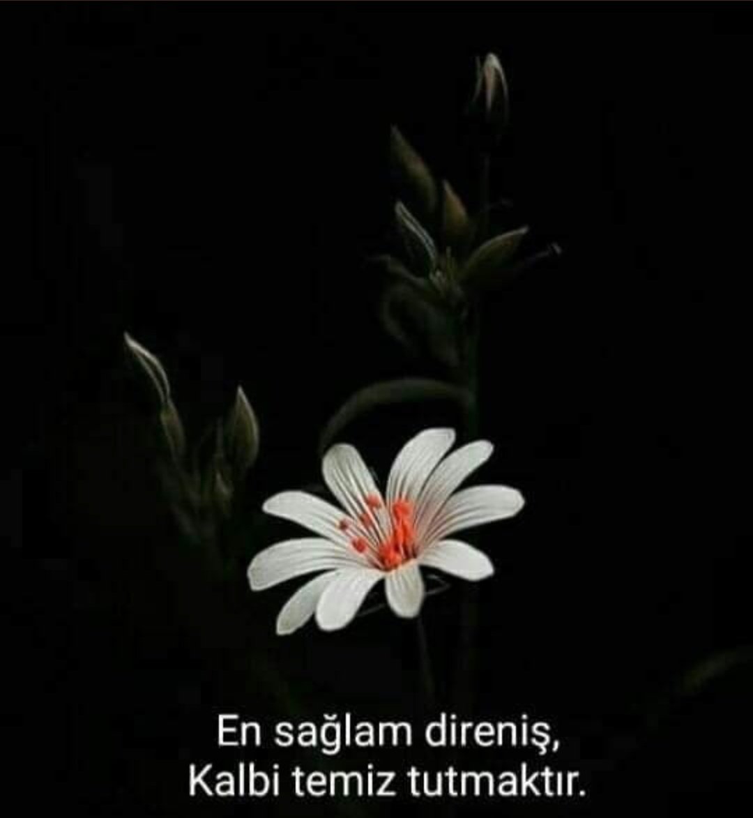 Bunca boş konuşan 

arasında 

dilsiz olmak engel değil devrimdir!
Özdemir Asaf