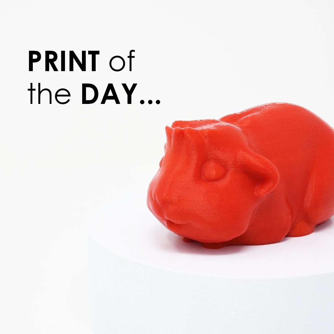 SurfaceScan's tweet image. Print of the day ~

Today&apos;s print of the day is a  guinea pig requested by one of our YouTube subscribers, head over to our YouTube and check out our shorts for more 3D printing conent 😊

youtube.com/channel/UCtB8e…

surfacescan.co.uk/3d-printing-se…

surfacescan.co.uk/3d-scanning-se…

#3dprints #pets