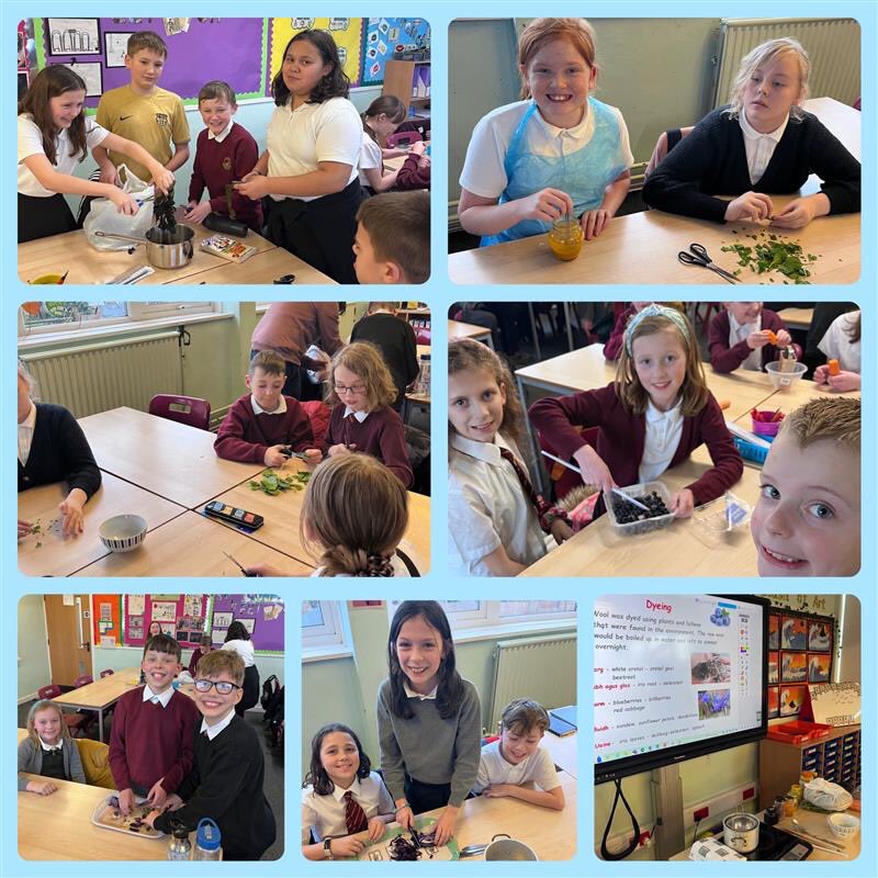 Coylton Primary tweet media