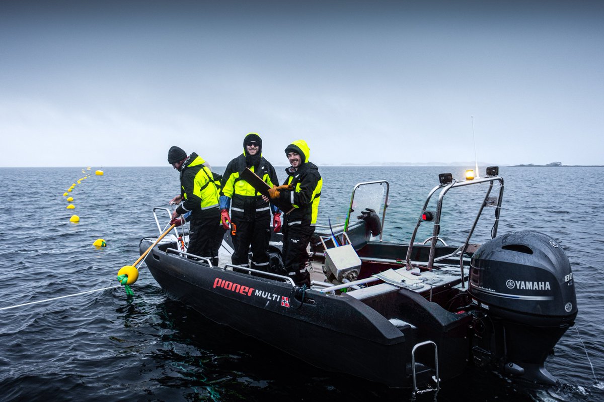 kelpinorNO's tweet photo. We have just completed the launching of 12 kilometers of kelp seedlings - now growing at sea for the next five months 🌱 https://t.co/heNfZO1qRH