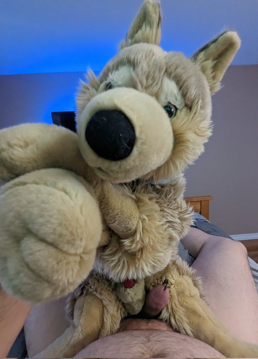 barbs r us tweet media