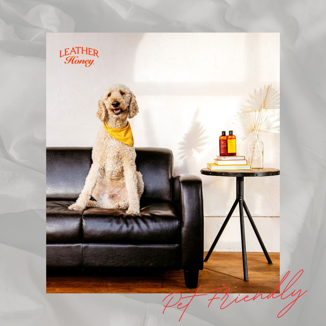 Need tips on how to care for your leather furniture with pets in the house?

Check out our blog:
bit.ly/40oYYky...

Brighten our day and send us photos of your adorable pets.💛

#leatherhoney #leathercleaner #leathercare #leathercarewipes #leathercleanerspray  #petlovers