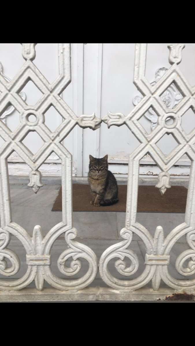 Çek ama dokunma dedi,bizde gerekeni yaptık.
