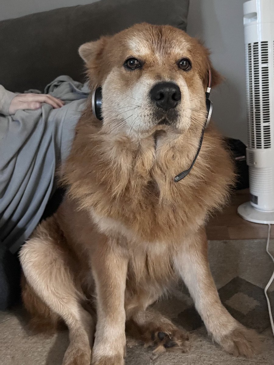 best customer service rep we got