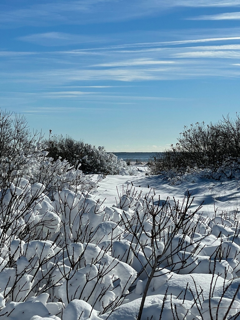 Winter wonderland meets beach paradise ❄️❄️❄️

#CapeMay #CapeMayBeachHouse #Beach #CapeMayNJ #CapeMayBeach #CapeMayRentals⁠ #BeachRentals #Snow #SnowBeach #ColdCoast