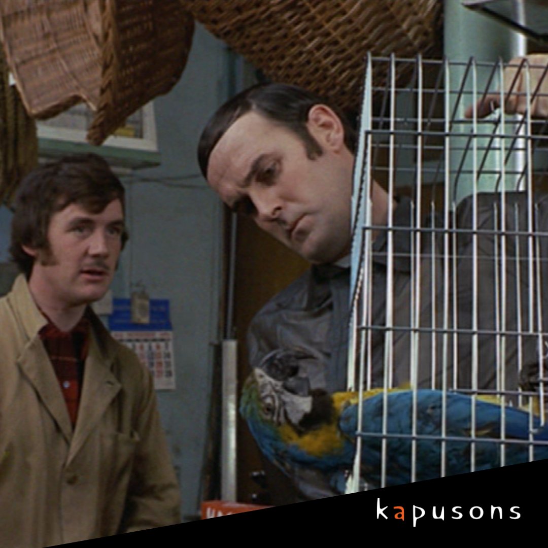 kapusons tweet media