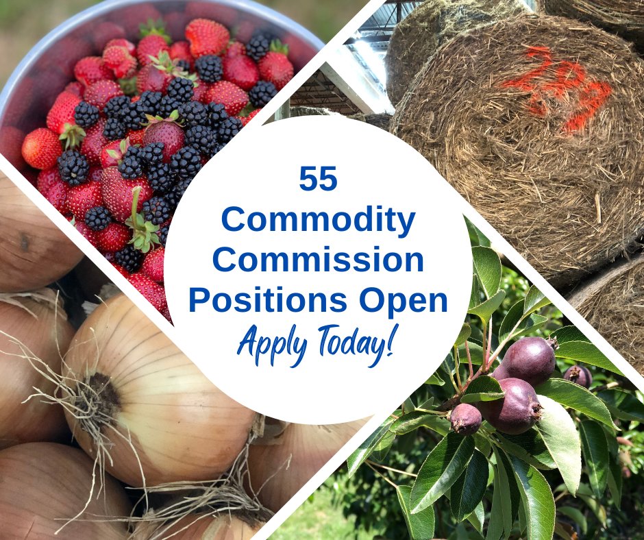 ORDeptAg's tweet photo. ODA is recruiting for 55 commodity commissioner openings. Please apply by March 15. For more info including a list of openings visit our news blog https://t.co/QxBq6kqlSI... or contact Jess Paulson, jess.paulson@oda.oregon.gov or 503-507-9313. https://t.co/WHbwD8uy28