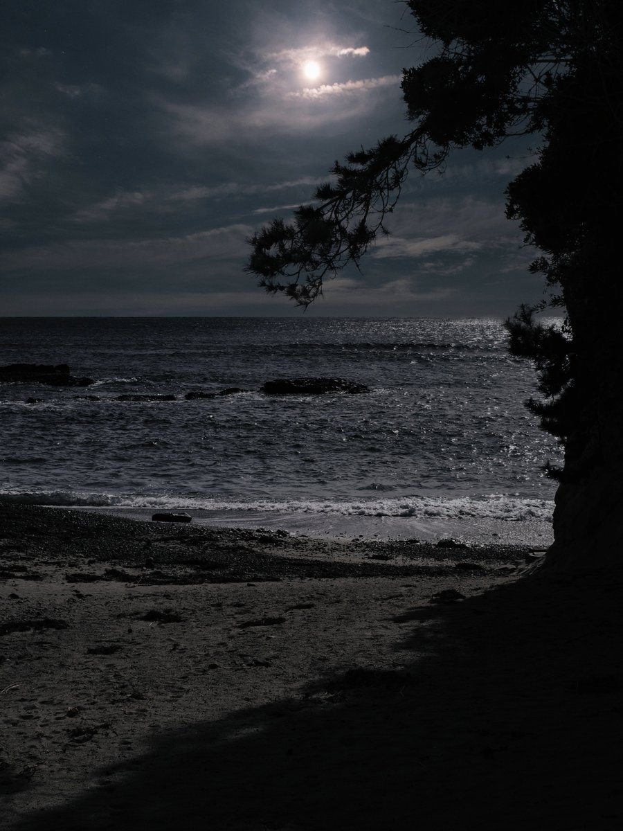 tohumissile's tweet photo. こちら加工品になます。
#photography #写真 #写真好きな人と繋がりたい #写真撮ってる人と繋がりたい #ファインダー越しの私の世界 #fujifilm #富士フイルム #fujifilm_xseries #XS10 #affinityphoto #affinity2 https://t.co/7ViEUpPd7b